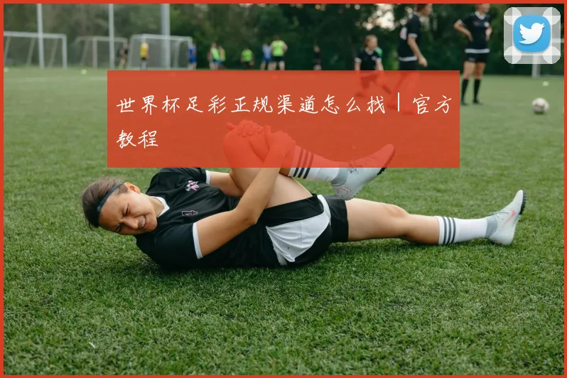 世界杯足彩正规渠道怎么找｜官方教程