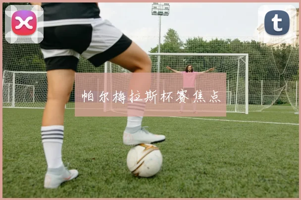 帕尔梅拉斯杯赛焦点