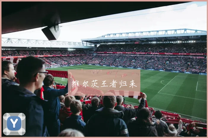 维尔茨王者归来